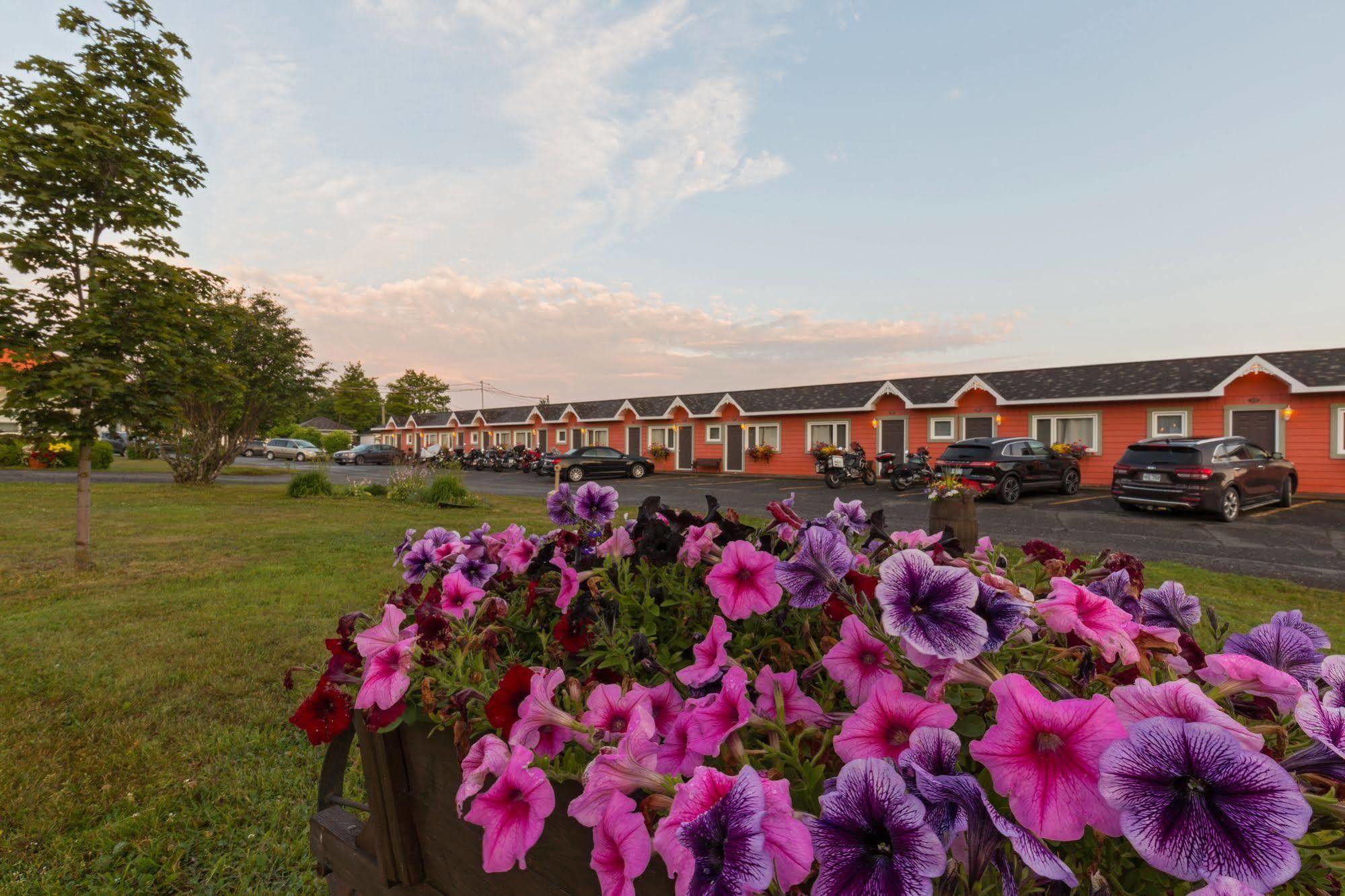 Motel Au Fleuve D'Argent Rivière-du-Loup Esterno foto
